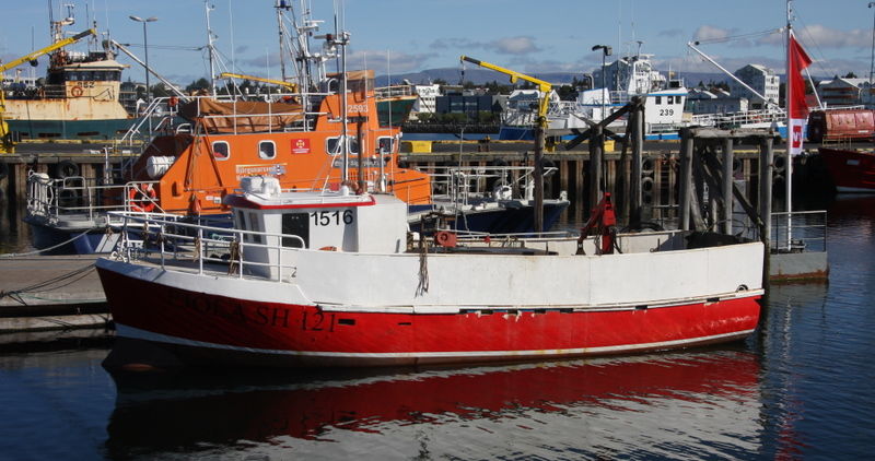 Fjóla