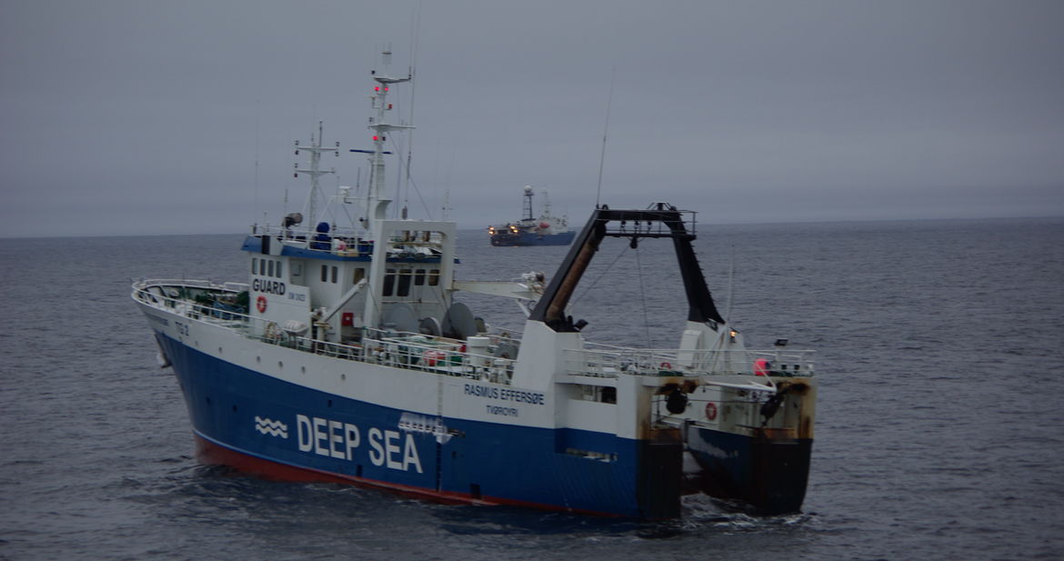REffersoe_GEOARCTIC