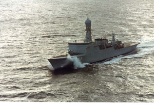 triton