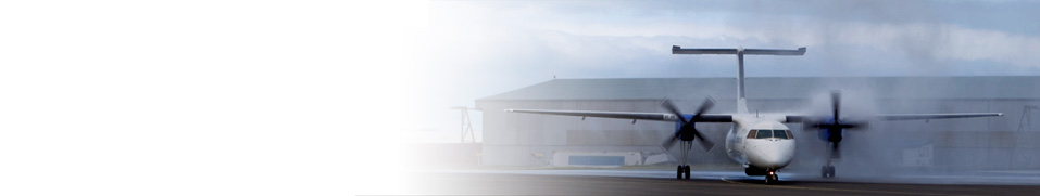 vinirheader1