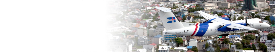 vinirheader1