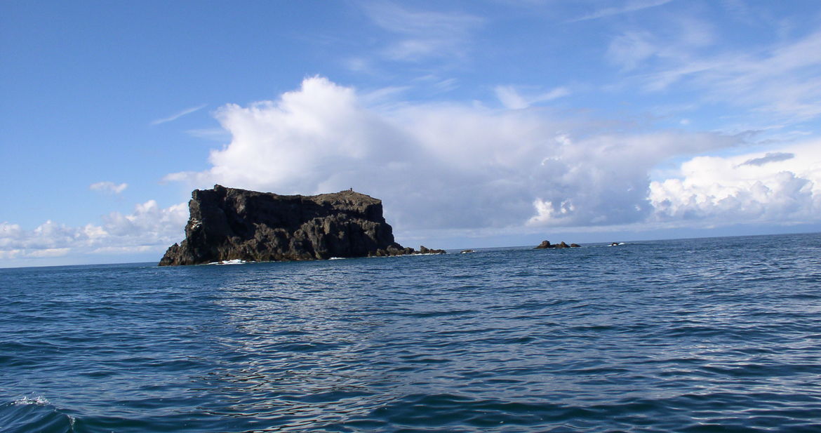 Geirfuglasker