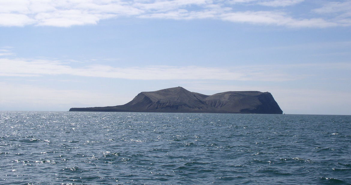 surtsey07