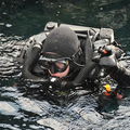 NC2009_WEEKEND_DIVE_DOUG_ELSEY_PHOTO__42