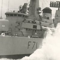 37-SCYLLA-F-71