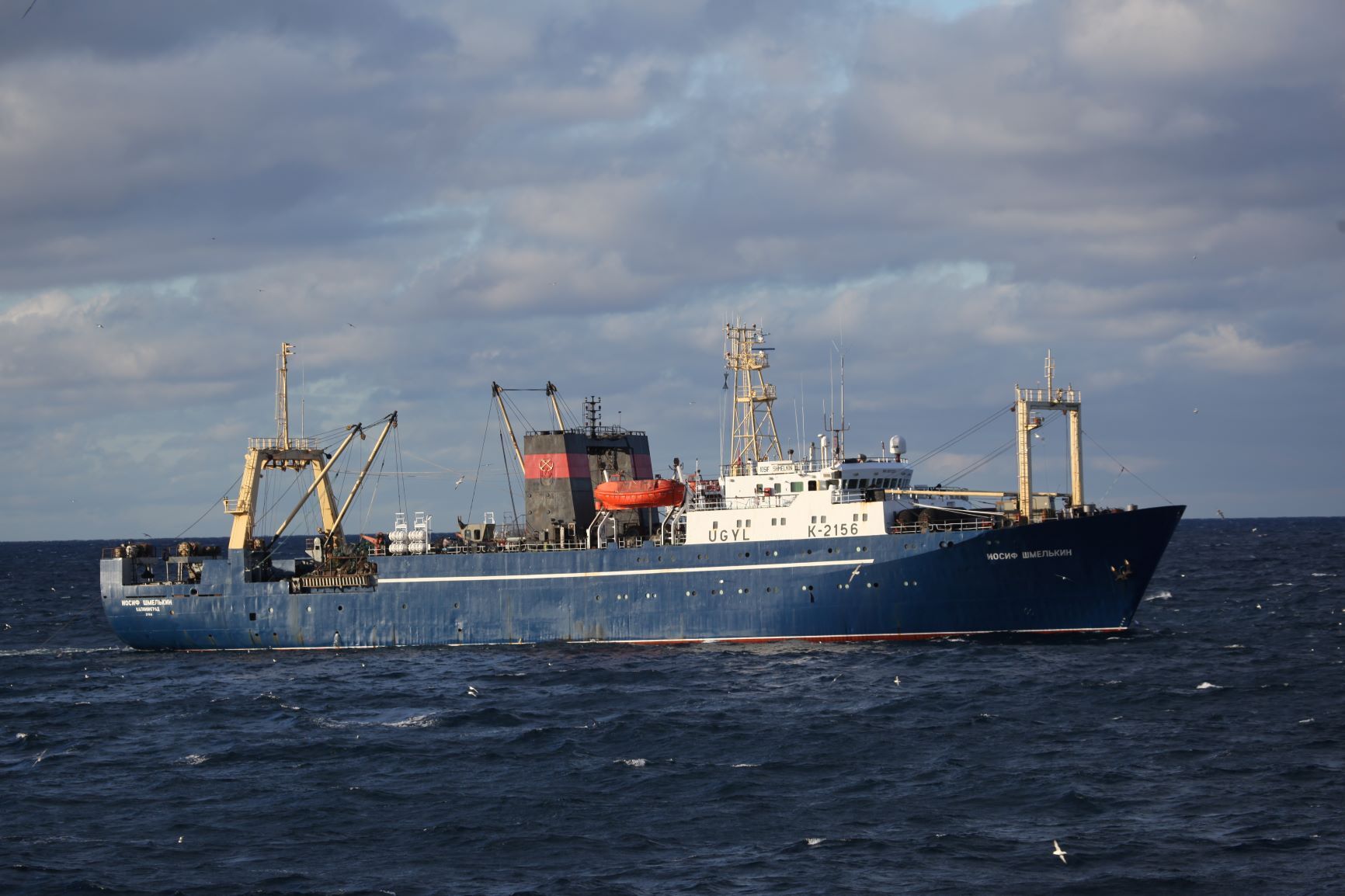 10-Iosif-Shmelkin-UGYL-K-2156