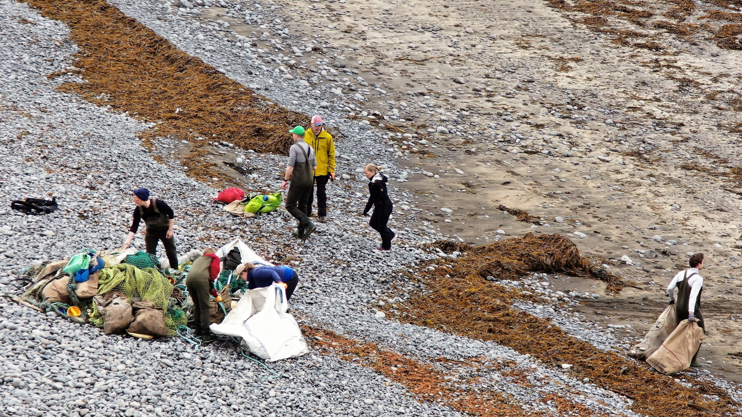 Hreinni-Hornstrandir-19062021-8-